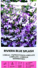 Lobelia Riviera Blue Splash Seed